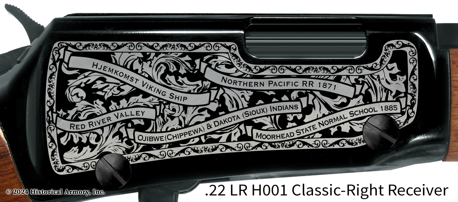Clay County Minnesota Engraved Henry H001 Rifle