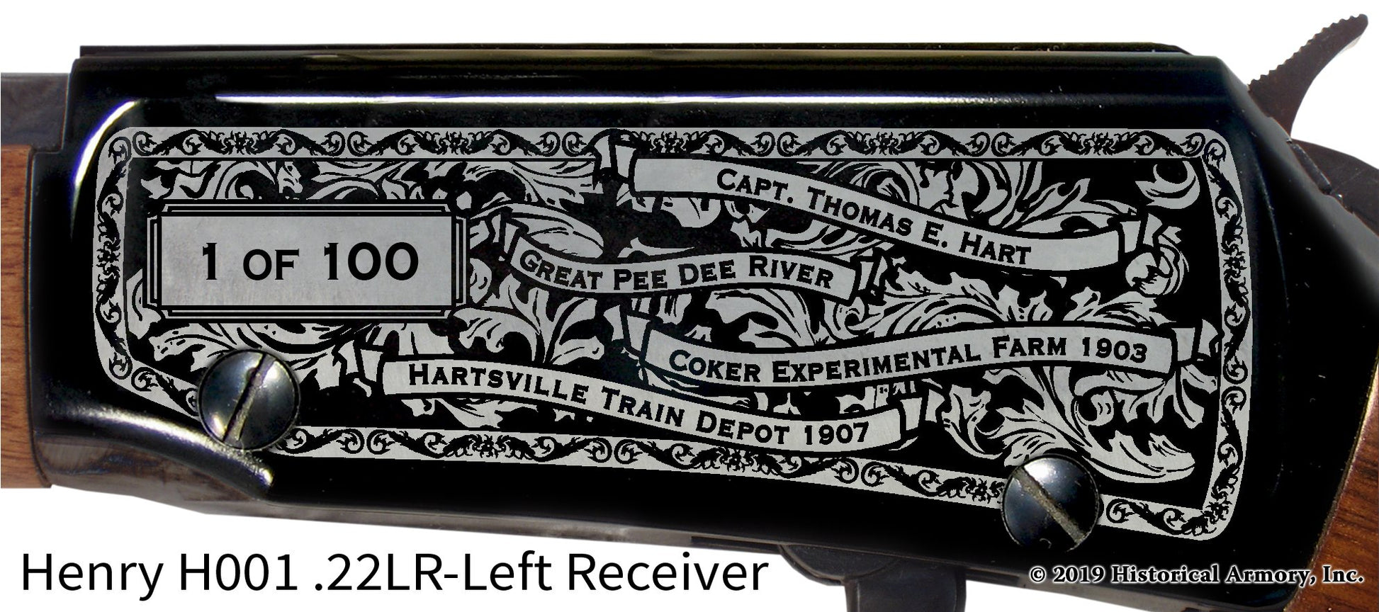 Darlington County South Carolina Engraved Henry H001 Rifle