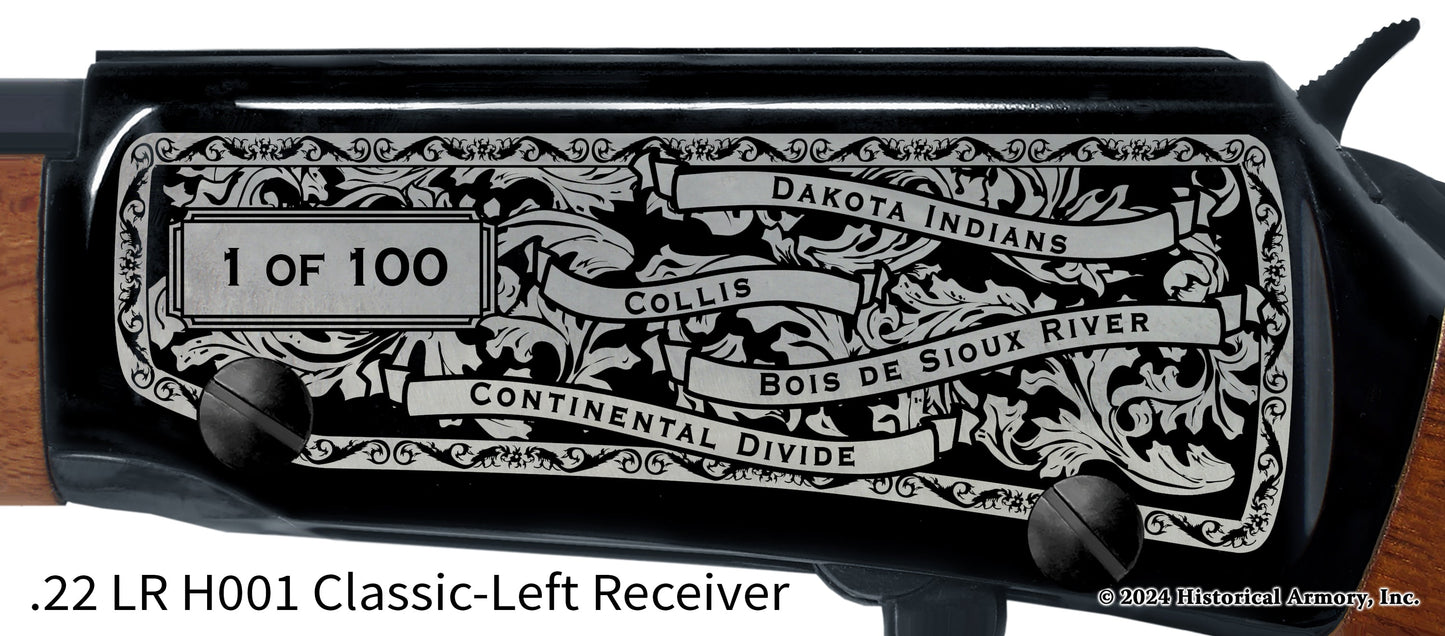 Traverse County Minnesota Engraved Henry H001 Rifle