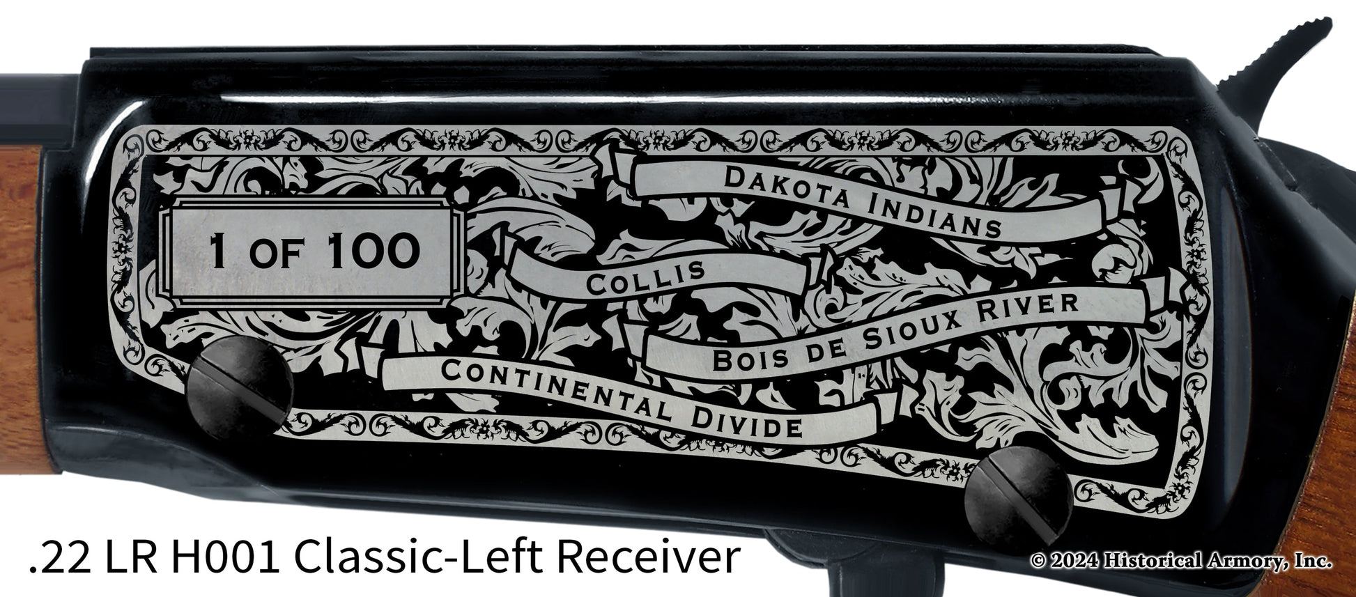 Traverse County Minnesota Engraved Henry H001 Rifle