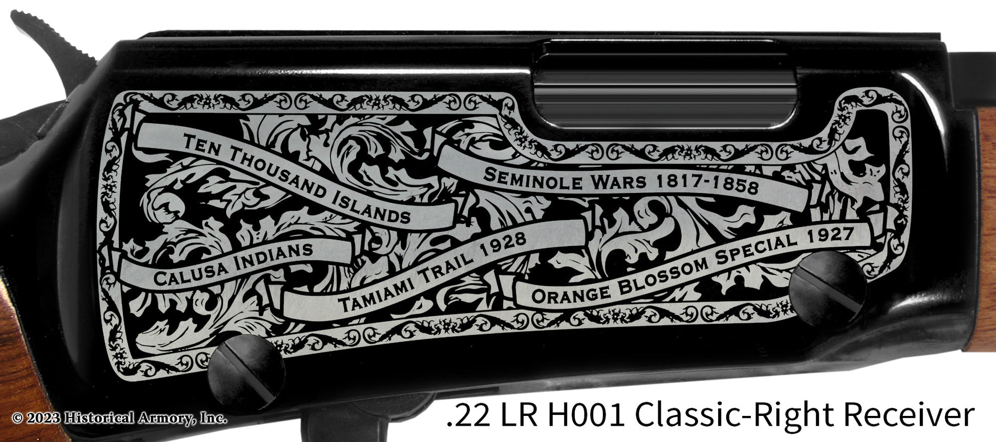 Collier County Florida Engraved Henry H001 Rifle