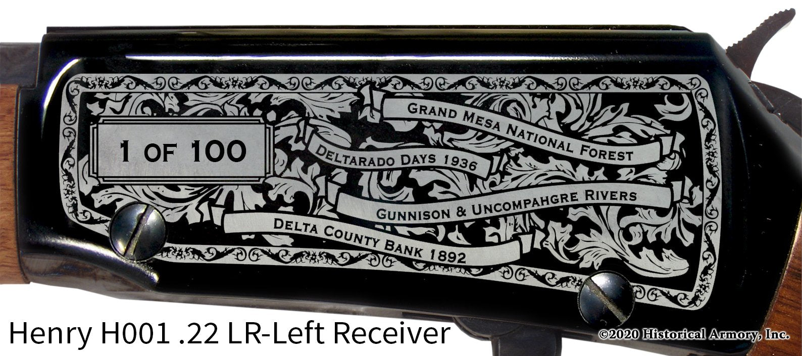 Delta County Colorado Engraved Henry H001 Rifle