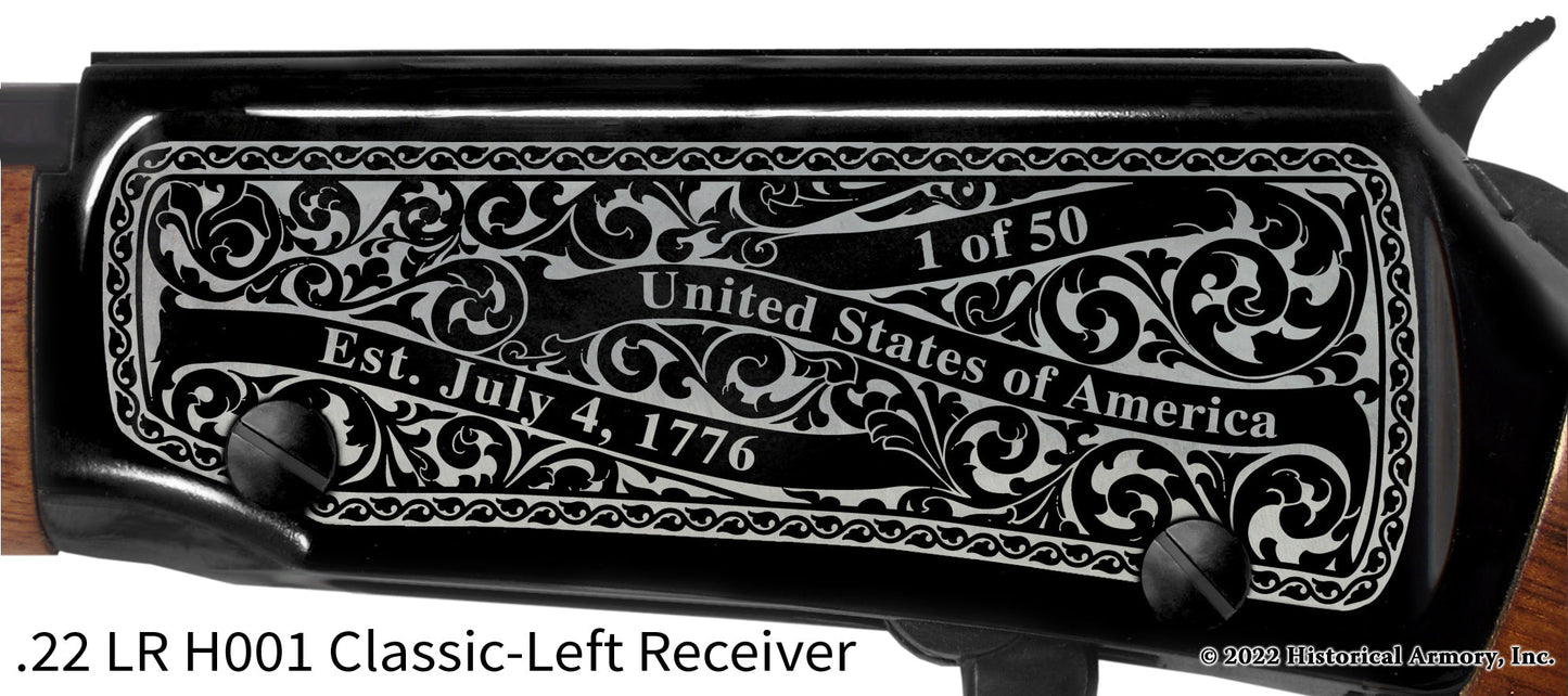 Panola County Mississippi Engraved Henry H001 Rifle
